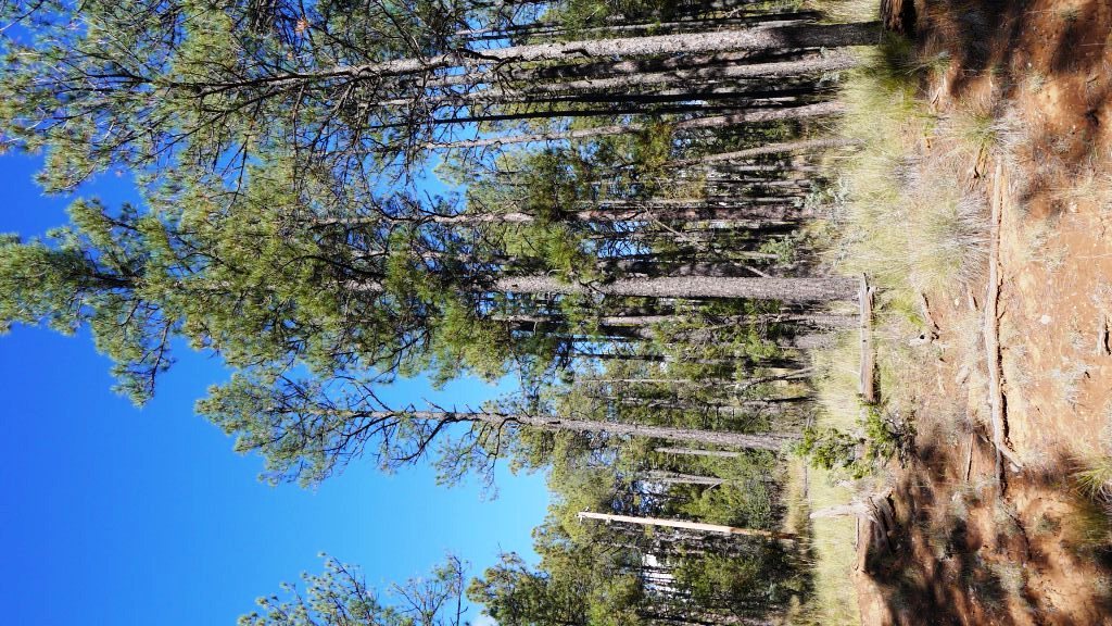 BACK TO MAIN LAND PAGE